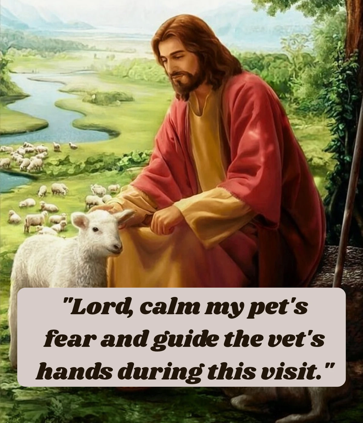 short-st-francis-prayer-for-a-pet-at-the-vet