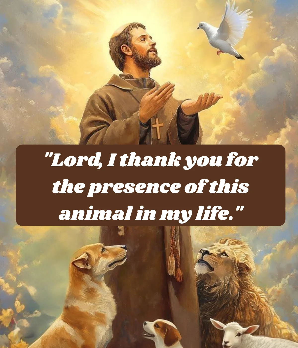 short-st-francis-prayer-of-thanks-for-an-animal