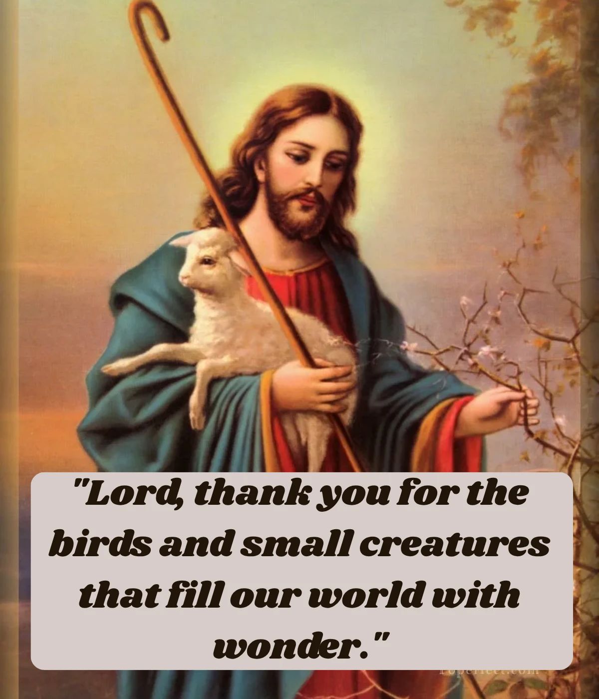 st-francis-prayer-for-birds-and-small-creatures