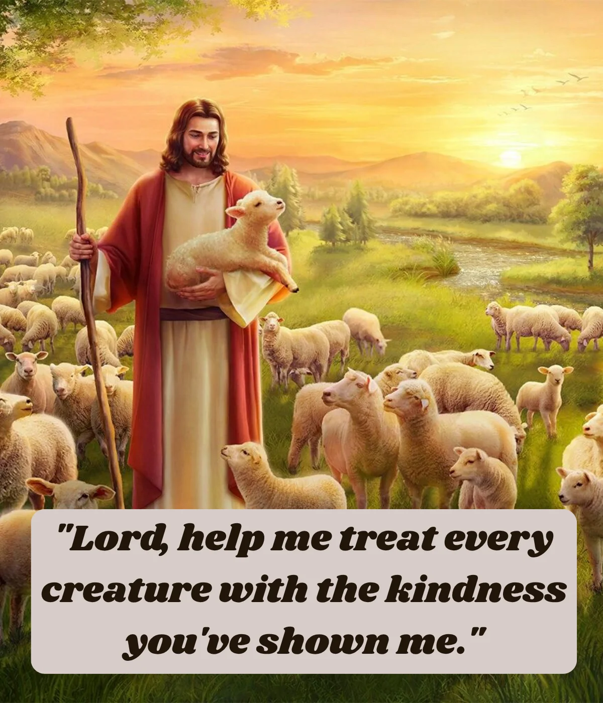 st-francis-prayer-for-kindness-toward-all-creatures